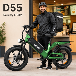 Vélo électrique D55 à pneus larges, 48V 55Ah, autonomie 240km, 750W 80Nm, meilleur rapport qualité-prix pour les acheteurs internationaux - Product Image 1