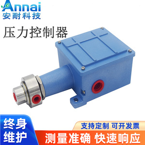 Pressostat à filetage G1/2, corps en plastique, IP65, antidéflagrant, pour fluides gazeux - Product Image 3