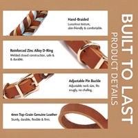 Ensemble collier et laisse pour chien, tressé à la main, réglable, colliers pour animaux de compagnie durables, laisses pour chiens avec anneau en D pour chiens de petite, moyenne et grande taille