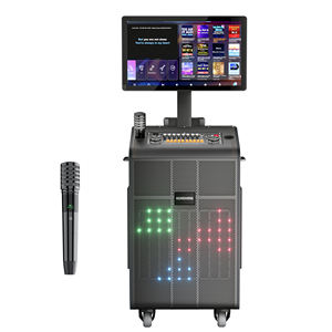 무선 노래방 스피커 휴대용 LED 스피커 디스코 라이트 BT 스피커 내장 마이크 빅 파워 충전식 오디오 파티 무대 - Product Image 5