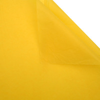 Papier d'emballage coréen à fleurs double face 20 feuilles/sac imperméable pour bouquets recyclable vierge non revêtue de cire pour chaussettes