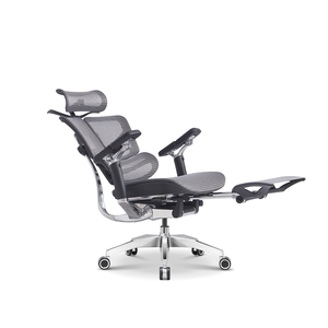 Premium Mesh Chair With 4-Stage Gas Lift 7D Armrests Lumbar Support High-end Mesh Chair With <b>Footrest</b> and Mesh Seat APL-WIM01 Bo - Product Image 4
