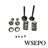 Vanalar Springs hizmetliler dolapları kiti (14 adet Set) Predator 670CC yatay şaft v-ikiz benzinli motor için uyar