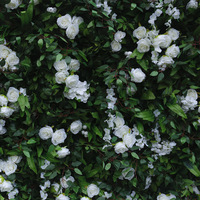 Mur végétal en tissu 5D, mur végétal simulé, fond de mur végétal, décoration intérieure, mur de fleurs, fleurs artificielles