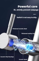 Robinet de cuisine en acier inoxydable à prix abordable, prêt à être expédié, avec douchette extractible, mitigeur eau chaude et froide pour évier de cuisine