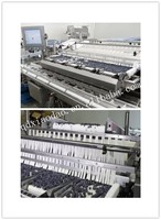 High-Output Weeg-En Verpakkingsmachine Voor De Sorteermachine Van Bosbessenkersen Tomaat Voor Fruitproducenten