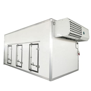 Caisse de camion frigorifique en FRP avec plaques eutectiques, état neuf, modèle ultra-basse température -40°C, fourgon pour Howo Shacman, caisse à glace - Product Image 5