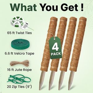Poste <span class=keywords><strong>de</strong></span> musgo apilable <span class=keywords><strong>de</strong></span> PVC y madera, ecológico, soporte para plantas Monstera, trellis para plantas <span class=keywords><strong>de</strong></span> interior, estacas <span class=keywords><strong>de</strong></span> jardinería extensibles, etiquetas para plantas - Product Image 4