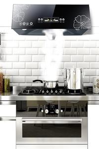 <span class=keywords><strong>Sortie</strong></span> d'usine européenne <span class=keywords><strong>hotte</strong></span> <span class=keywords><strong>de</strong></span> cuisinière en acier inoxydable haute aspiration grand évent électrique Style ancien <span class=keywords><strong>cuisine</strong></span> domestique - Product Image 3