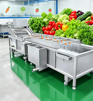 Productielijn voor het matchen van bubbelspoelmachines voor een complete groenteverwerkingsketen
