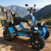 Kart hybride tout-terrain, scooter électrique 12KW, batterie 150AH, kart tout-terrain 4 roues motrices, karting sportif