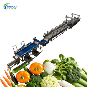 Ligne de lavage de légumes à l'ozone Shepody pour laitue et brocoli, machine à laver et sécher les légumes à feuilles par bulles d'ozone - Product Image 1