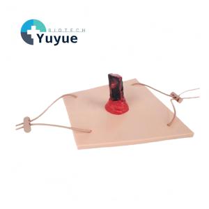 Modèle d'entraînement aux blessures pénétrantes des membres avec corps étranger intégré pour la formation aux premiers secours en cas d'urgence - Product Image 1