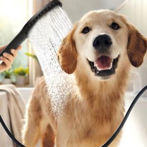 NZMAN Meilleur accessoire de <span class=keywords><strong>douche</strong></span> pour chien, accessoire de tuyau de lavage pour chien avec inverseur en T en métal, fournitures de bain pour chien avec 4 modes de pulvérisation - Product Image 6