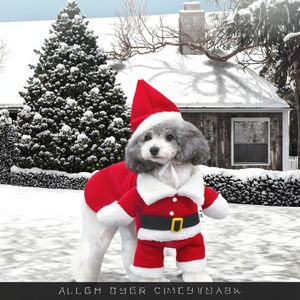 पालतू वस्त्र कुत्ते बिल्ली परिधान सर्दियों गर्म कोट बारिश जैकेट पोशाक पोशाक पोशाक पोशाक पोशाक पोशाक - Product Image 4