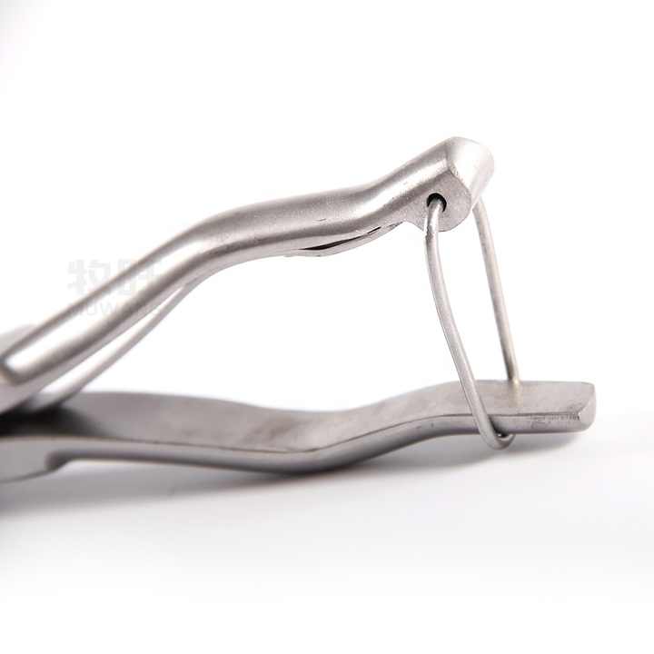 thumbnail image 2 of Cattle Ear Marking Tools Buy Stainless Steel Pig Ear Tag Plier Ear Notcher Animal Identify Tool Livestock Control Device For Pig Equipment Farm Animals Ear Notchers For Cattle 2 of 14