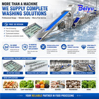 Industriële fruit- en groentewasmachine Automatische luchtbelwasser Ozonsterilisatie Vers product Aardappel Maïs Soja
