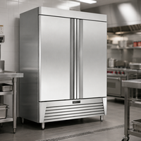 Congélateurs verticaux à deux portes de haute qualité en acier inoxydable, réfrigérateur commercial de type américain pour cuisine