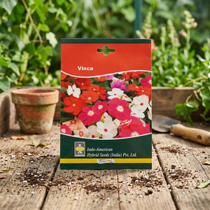 IAHS VINCA PACIFICA XP MIX Fleurs séchées 25 graines multicolores Lot de 25 Inde - Product Image 2