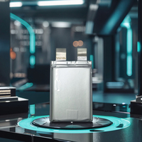 Pabrik produsen 2500mAh 3.4V Solid State SIB Sodium Ion sel baterai 5000 siklus merek baru NPP Power Na Ion