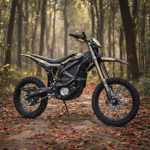 <span class=keywords><strong>Moto</strong></span> électrique tout-terrain Sur Ron Ultra Bee 2026, <span class=keywords><strong>mini</strong></span> <span class=keywords><strong>moto</strong></span> de cross - Product Image 3