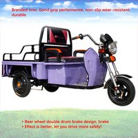 Usine 3 Roue Cargo Tricycle Vélo Électrique Chinois 3 Roues Tricycle Électrique Ebike Adulte Pour Passagers