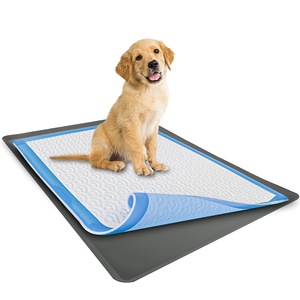Support pour tapis de propreté pour chiens, en silicone, avec rebord surélevé anti-déversement et antidérapant, pour l'apprentissage de la propreté des chiots - Product Image 1