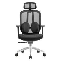 Mobilier Ordinateur Professionnel Fiable Moderne Mesh Chaise De Bureau 3-Position Verrouillage Avant Base Coulissante Certifié Classe-3 Gaz