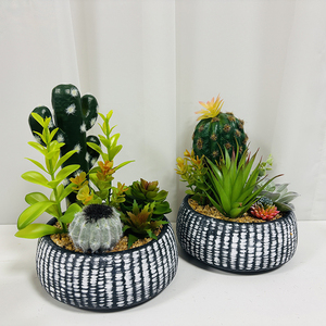 Planta Artificial <span class=keywords><strong>de</strong></span> <span class=keywords><strong>Cactus</strong></span> en Maceta - Decoración <span class=keywords><strong>de</strong></span> Pared Interior Verde <span class=keywords><strong>de</strong></span> Alta Simulación y Duradera para el Día <span class=keywords><strong>de</strong></span> San Valentín y el Día <span class=keywords><strong>de</strong></span> la Madre - Product Image 1