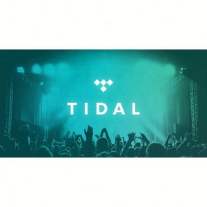 บัญชีสมาชิก Tidal HiFi Plus แบบ 12 เดือน บัญชีสตรีมมิ่ง Tidal Premium - Product Image 1