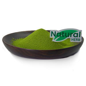 Poudre d'extrait de luzerne naturelle pure de haute qualité poudre de chlorophylle avec vitamine ingrédient actif emballage de tambour d'approvisionnement d'usine - Product Image 4