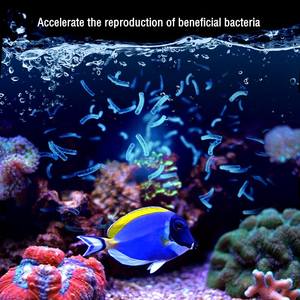 マリンリーフ水族館用レッドスターフィッシュミニ水族館バイオペレットフィルターメディアリアクター - Product Image 3