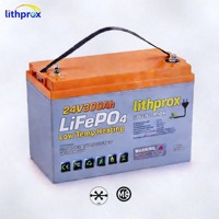 Batterie LiFePO4 à décharge profonde 24V 300AH Grade A pour toute la maison, voiturette de golf, CAN Bus BMS, borne M8, 6000+ cycles, CE RoHS IP67 OEM ODM