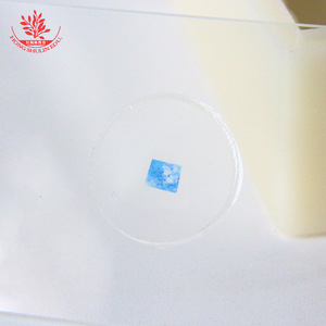 Présentation sur les quatre tissus fondamentaux du corps humain : tissu nerveux ; expérience pour l'examen d'entrée au collège - Product Image 1