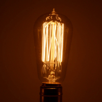 Ampoules Edison à filament de tungstène en forme de cage d'écureuil E26 E27 B22 120v 220v St58 Teardrop 25w 40w 60w, ampoule de style Edison