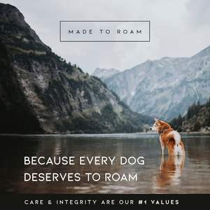 สายรัดสุนัขแบบพรีเมี่ยมสำหรับนักสำรวจสายรัดทำจากไนลอนเนื้อนุ่มสามารถปรับได้สำหรับสุนัขตัวใหญ่คลาสสิก - Product Image 6