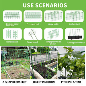 Cọc đỡ cây, khung leo cây, giàn leo cây, cọc nhựa bọc thép, ống thép, cây cảnh làm vườn bán buôn - Product Image 3