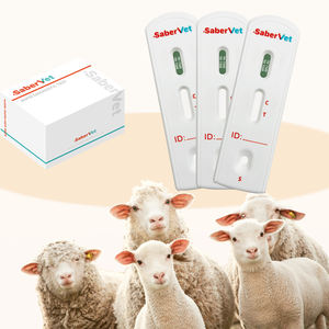 هانغتشو Itgen طقم بيطري للاستخدام المنزلي للحيوانات الأليفة اختبار سريع لتشخيص البروسيلا اختبار سريع للأغنام - Product Image 3