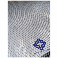 Grillage métallique galvanisé à mailles épaissies 2,5 lb/yd 2797 po pour renforcement de plâtre et stuc, taille personnalisée, pour murs métalliques