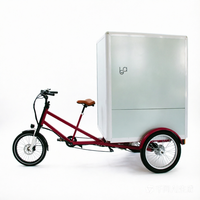 Scooter électrique à charge lourde, vélo cargo avec boîte, vélo électrique à trois roues, véhicule électrique cargo à 3 roues pour adultes