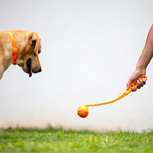 All'ingrosso Sport Pet Ball Launcher cane durevole giocattolo palla da Tennis palo da lancio a più lunga distanza interattivo Pet Training Fetch Play - Product Image 6