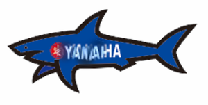 โรงงานสติกเกอร์ Blnieece Paul Et Shark ปี 2025 ขายส่งวัสดุตกแต่ง PVC กันน้ำแบบกำหนดเอง เหมาะสำหรับโทรศัพท์มือถือ - Product Image 3