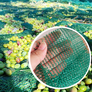 Usine bas <span class=keywords><strong>prix</strong></span> en gros HDPE Tunisie Grèce Italie Bulgarie 8x12 mètres filet de récolte de fruits d'olive noisette - Product Image 1