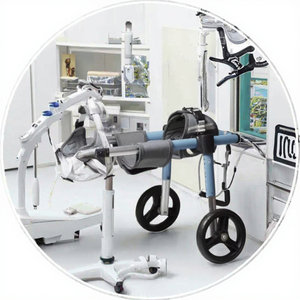 Fauteuil roulant pour chien LIZE à 2 ou 4 roues, véhicule d'assistance pour animaux handicapés, pour la récupération des membres arrière, instrument vétérinaire - Product Image 2