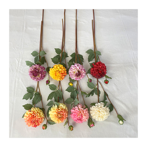 <span class=keywords><strong>Chrysanthème</strong></span> Tianzhu 2 têtes bon marché pour décoration de mariage <span class=keywords><strong>chrysanthème</strong></span> de haute qualité - Product Image 4