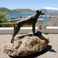 Sculpture de chien Doberman Pinscher en bronze, sculpture de jardin en laiton de qualité professionnelle pour parc extérieur