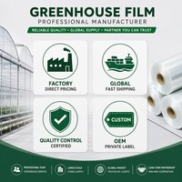 Film plastique pour serre, résistant aux UV, anti-déchirure, haute résistance, 6 mil, 150 microns, bâche en PE, couverture agricole avec anti-goutte.