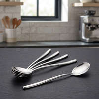 Cuillère en acier inoxydable, couverts modernes pour la salle à manger, la cuisine, l'hôtel, le restaurant et la collection de cadeaux