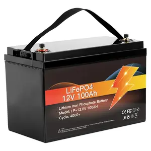 Intelligente Solar-BMS-Batterie mit hoher Kapazität 12 V 24 V 70 Ah 100 Ah 200 Ah 300 Ah Lifepo4 Tiefzyklus-Lithium-Ionen-Batteriepack mit Bluetooth