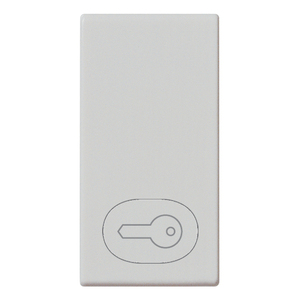 Key Symbol Wall <b>Switch</b> 4.4 In Length Silver Finish - Product Image 1